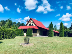 Piękny domek z dużym ogrodem in Kopalino